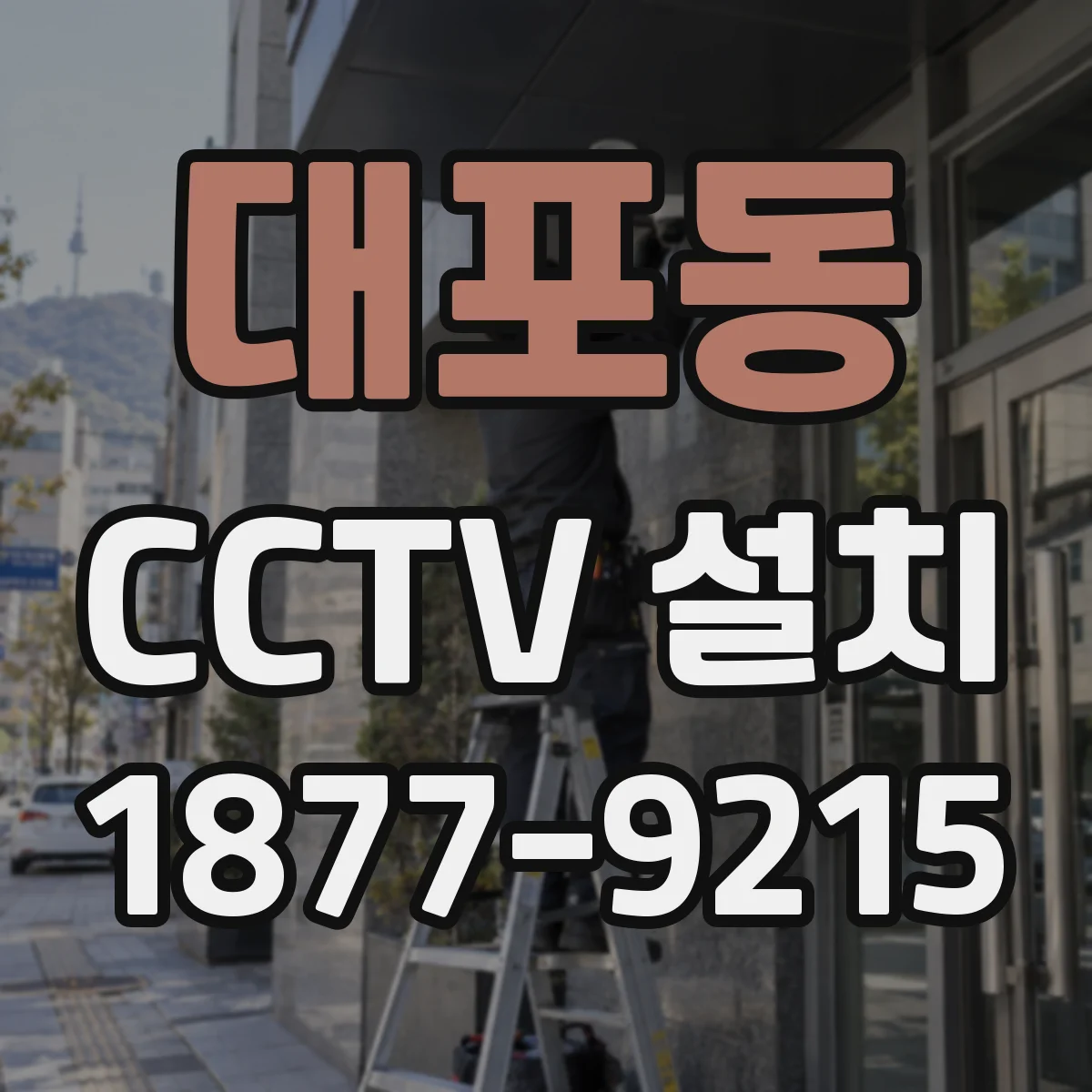 대포동 CCTV 설치