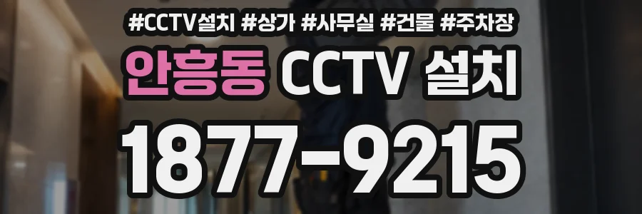 안흥동 CCTV 설치