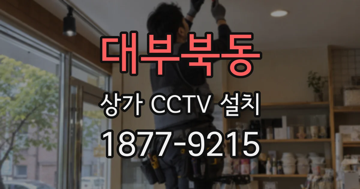 대부북동 상가 CCTV 설치