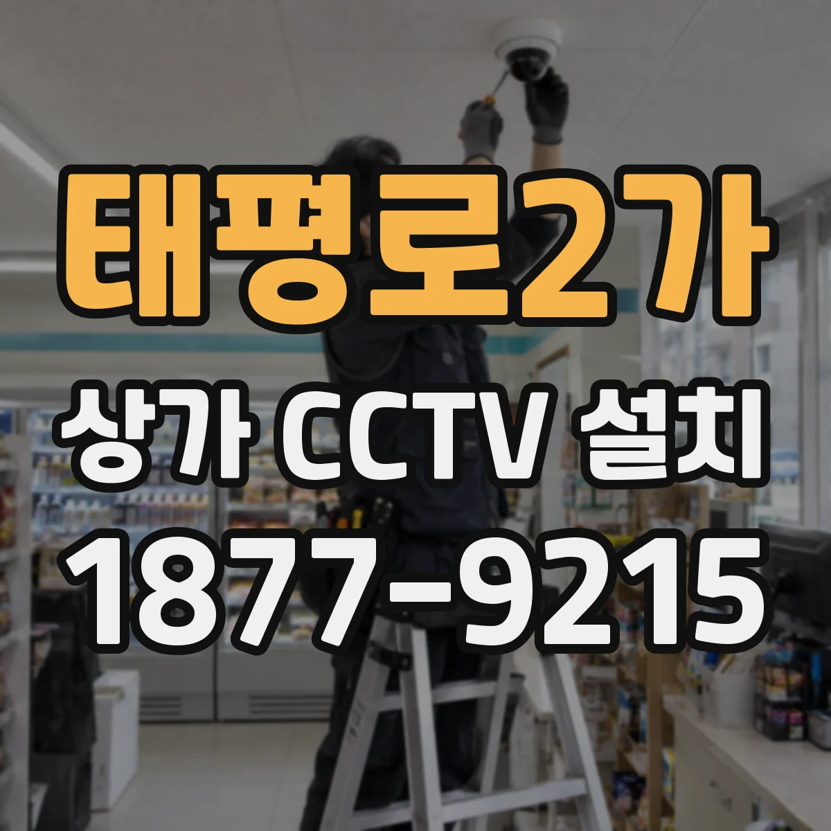 태평로2가 상가 CCTV 설치
