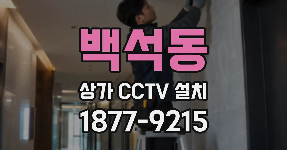 백석동 상가 CCTV 설치