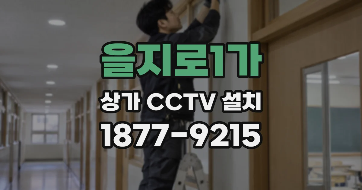 을지로1가 상가 CCTV 설치