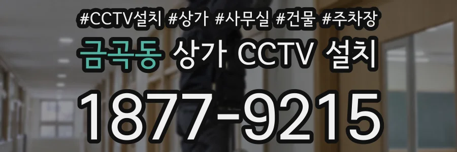 금곡동 상가 CCTV 설치