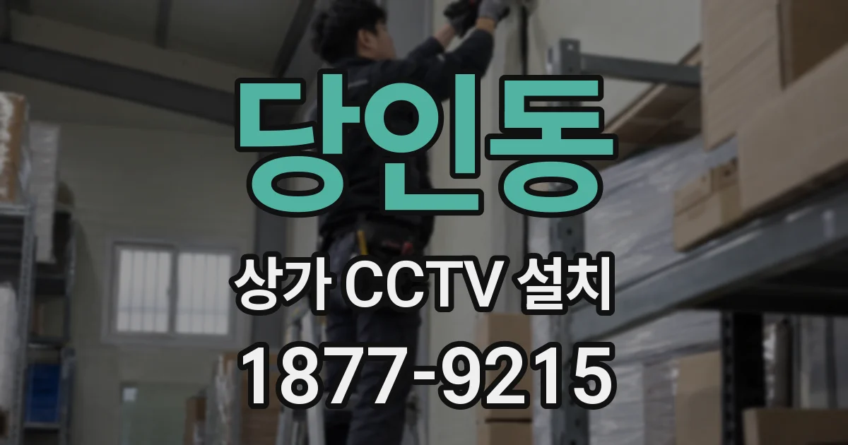 당인동 상가 CCTV 설치