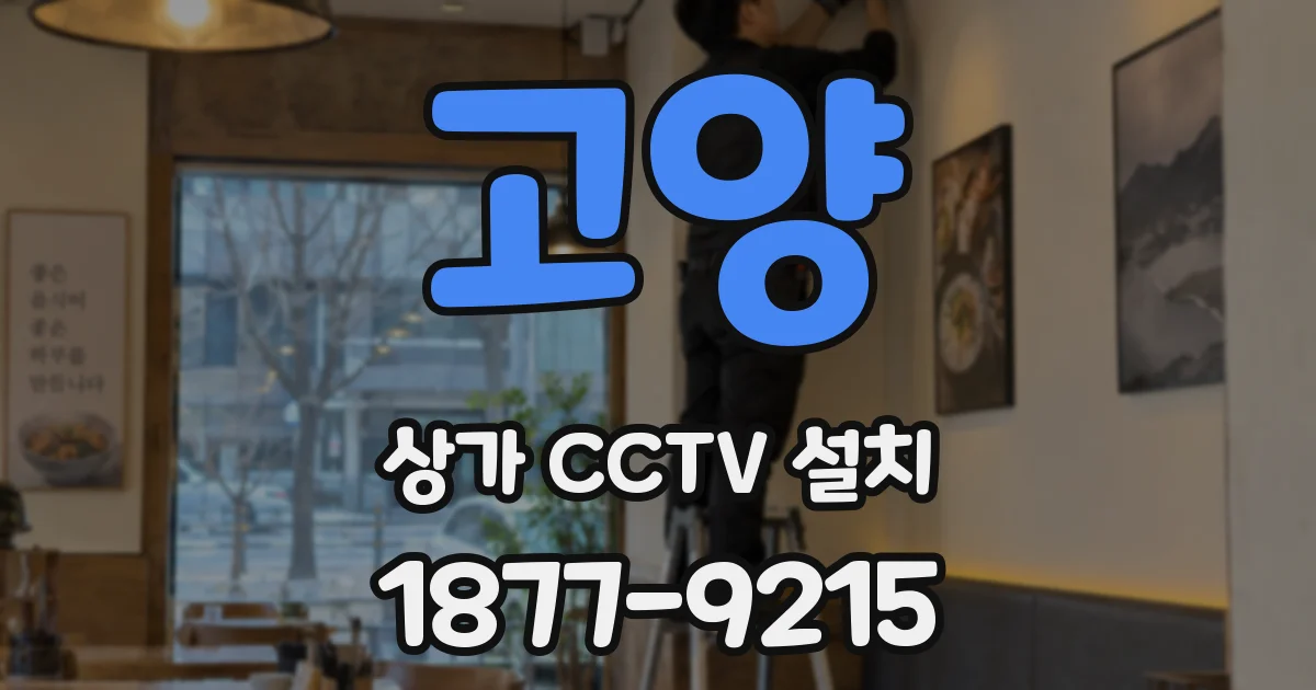 고양 상가 CCTV 설치