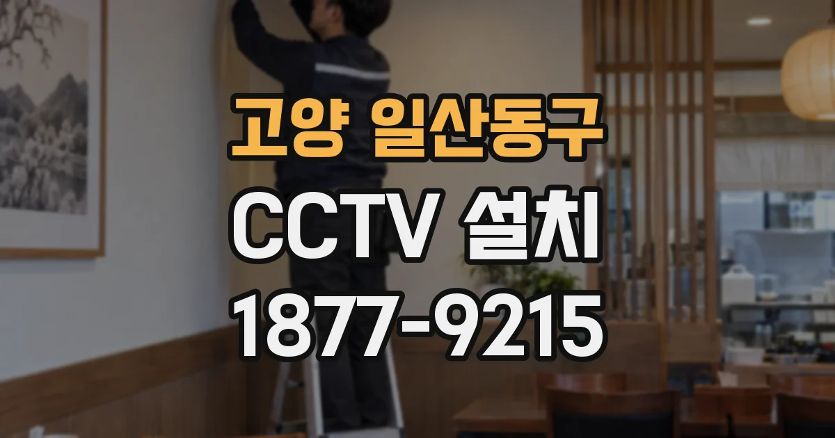 고양 일산동구 CCTV 설치