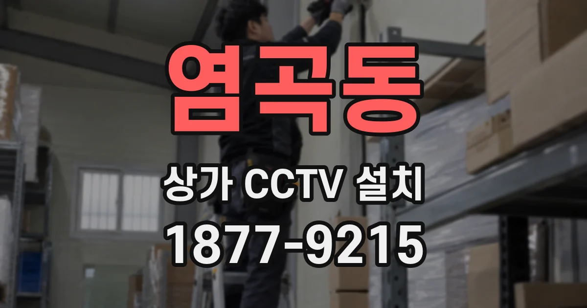 염곡동 상가 CCTV 설치