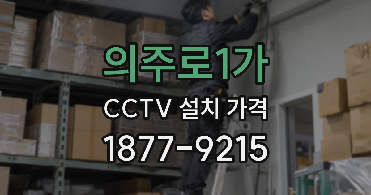 의주로1가 CCTV 설치 가격