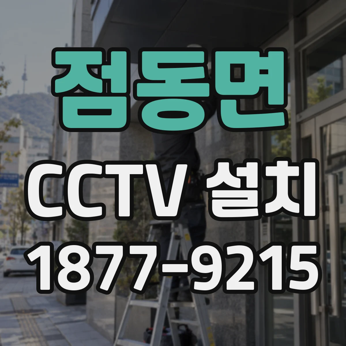 점동면 CCTV 설치