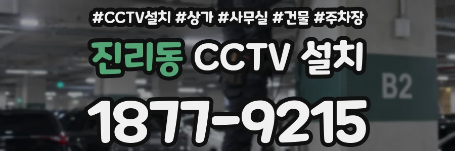 진리동 CCTV 설치