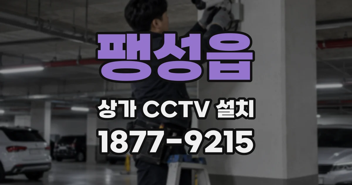 팽성읍 상가 CCTV 설치