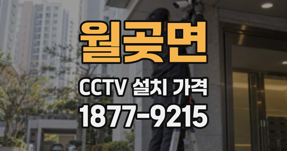 월곶면 CCTV 설치 가격
