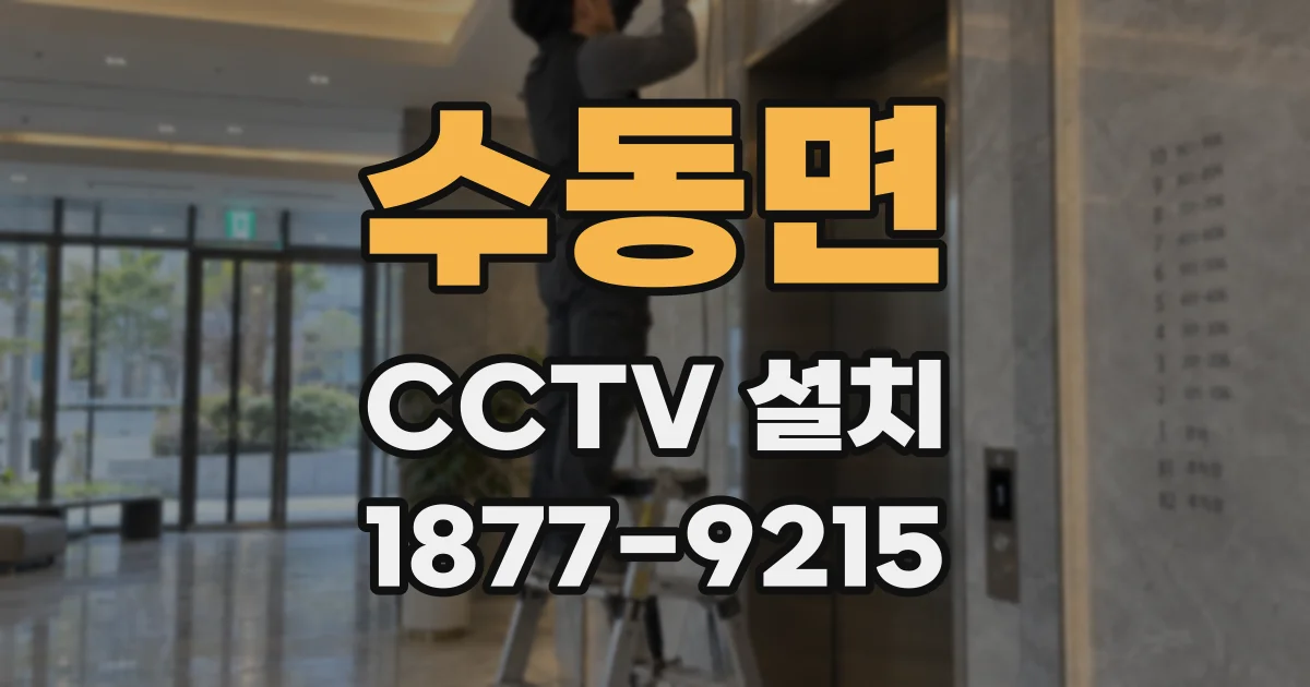 수동면 CCTV 설치