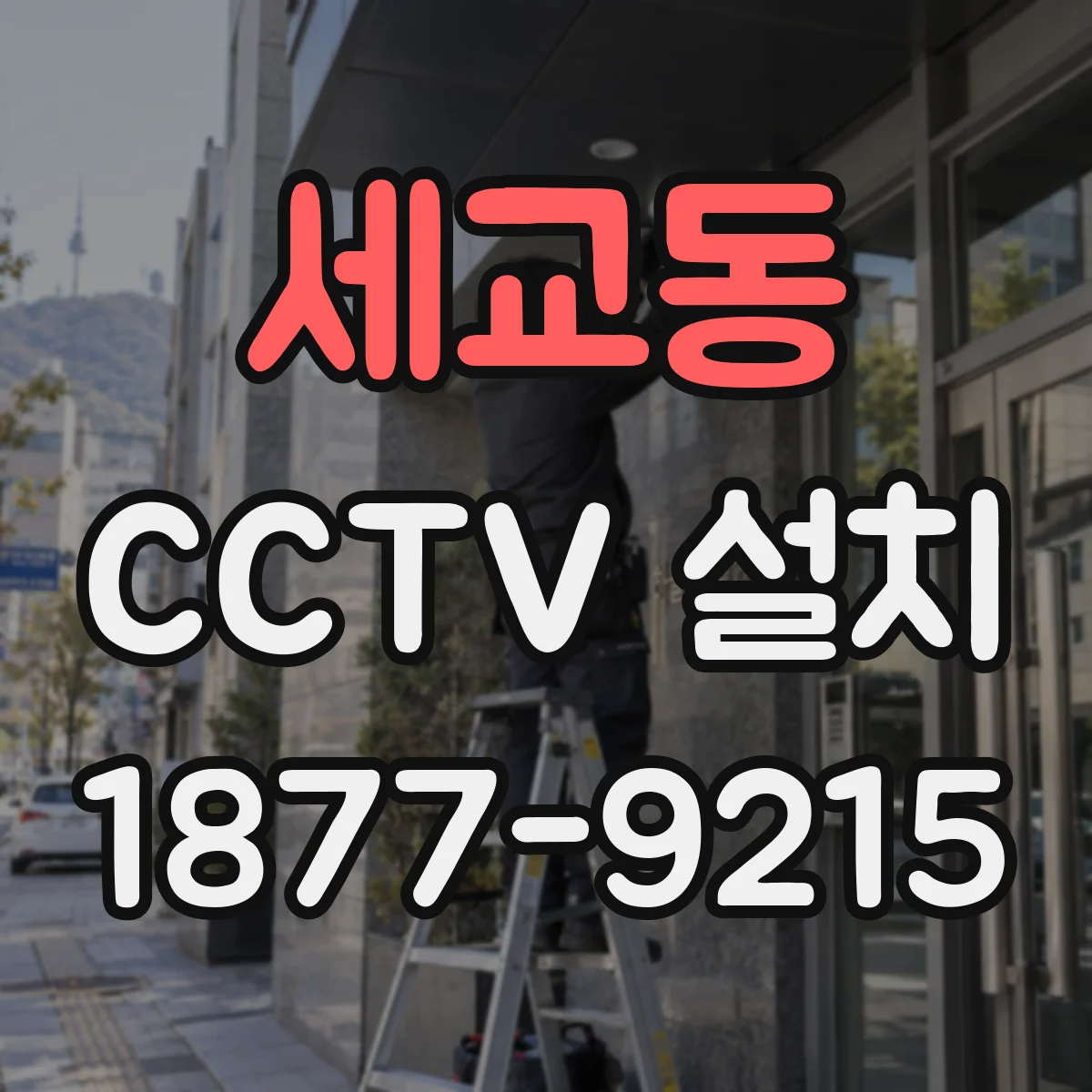 세교동 CCTV 설치