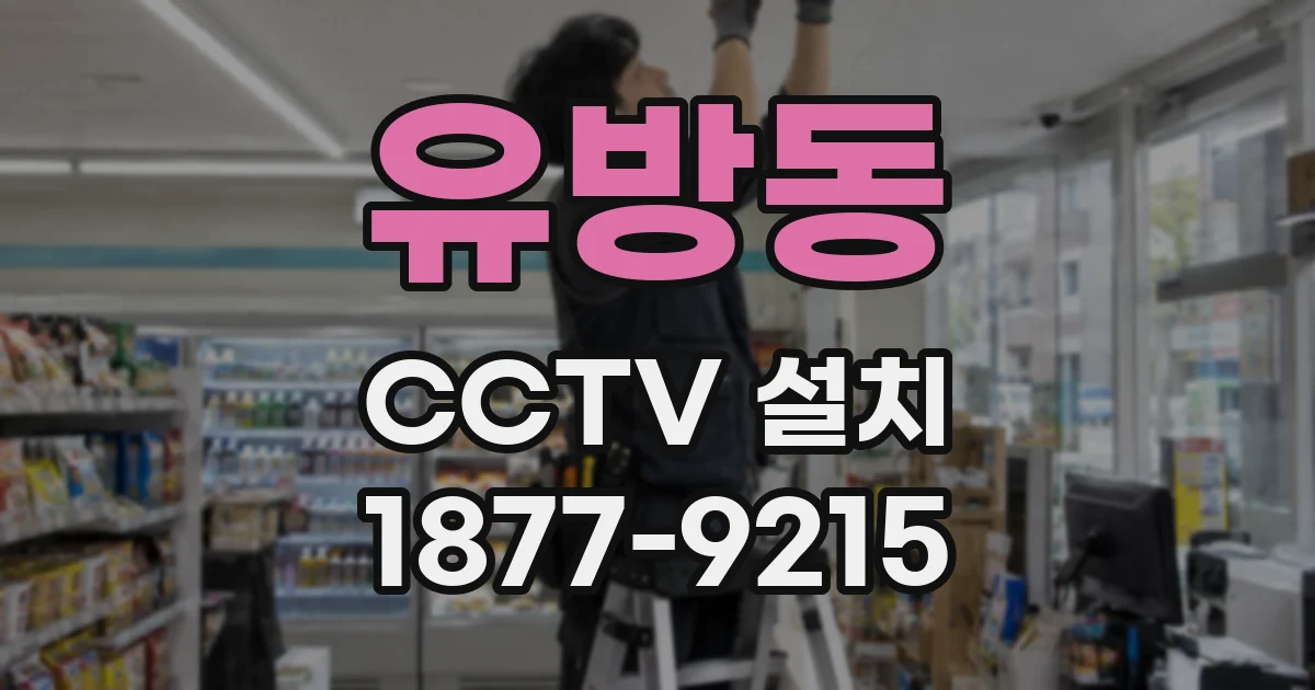 유방동 CCTV 설치