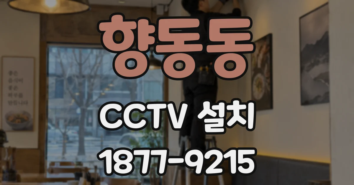 향동동 CCTV 설치