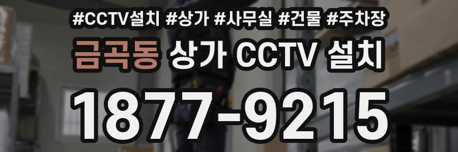 금곡동 상가 CCTV 설치