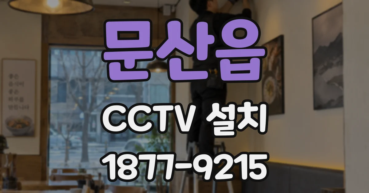 문산읍 CCTV 설치