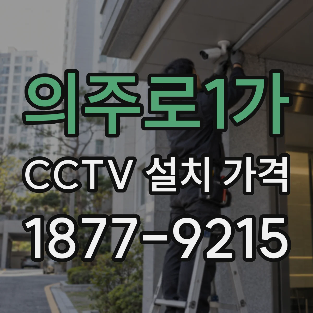 의주로1가 CCTV 설치 가격