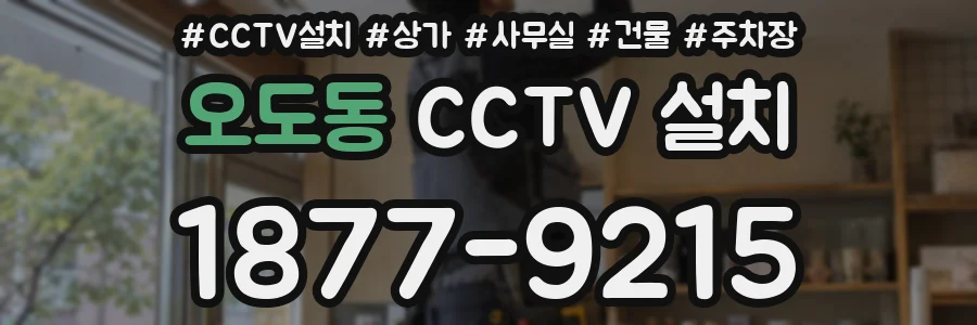 오도동 CCTV 설치