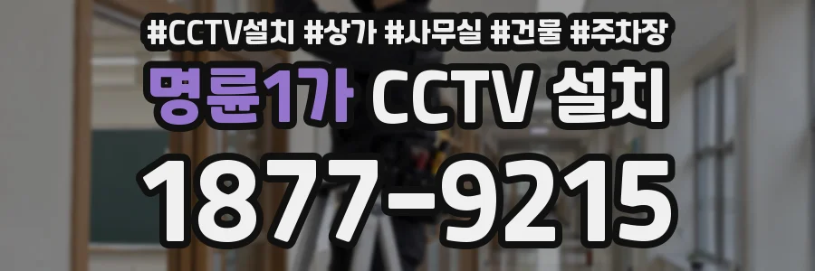 명륜1가 CCTV 설치