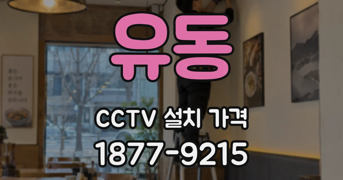 유동 CCTV 설치 가격