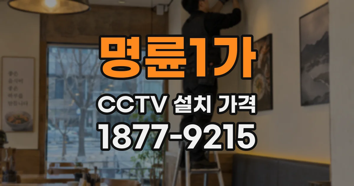 명륜1가 CCTV 설치 가격
