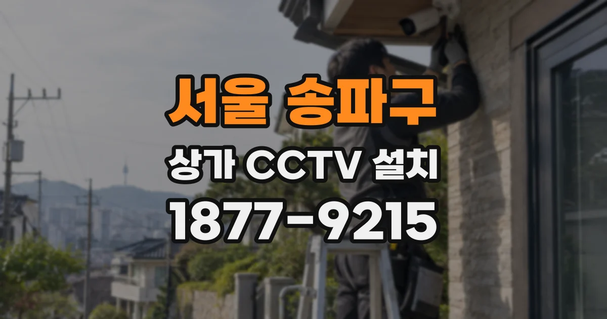 서울 송파구 상가 CCTV 설치