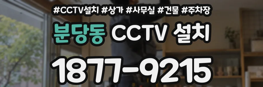 분당동 CCTV 설치