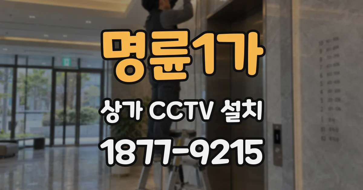 명륜1가 상가 CCTV 설치