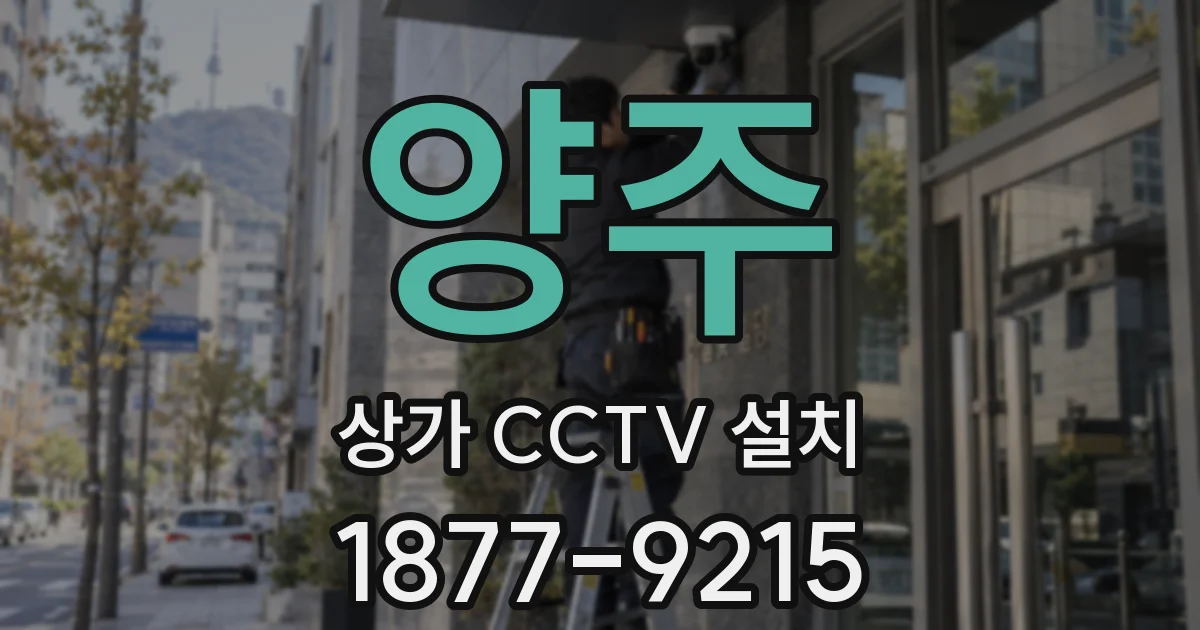 양주 상가 CCTV 설치