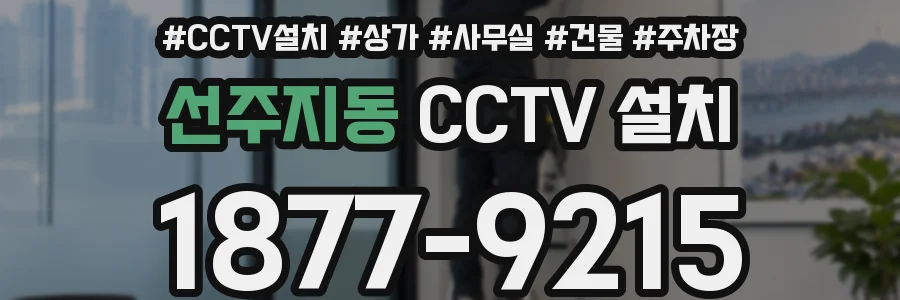 선주지동 CCTV 설치