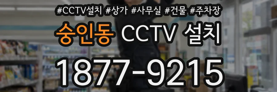 숭인동 CCTV 설치