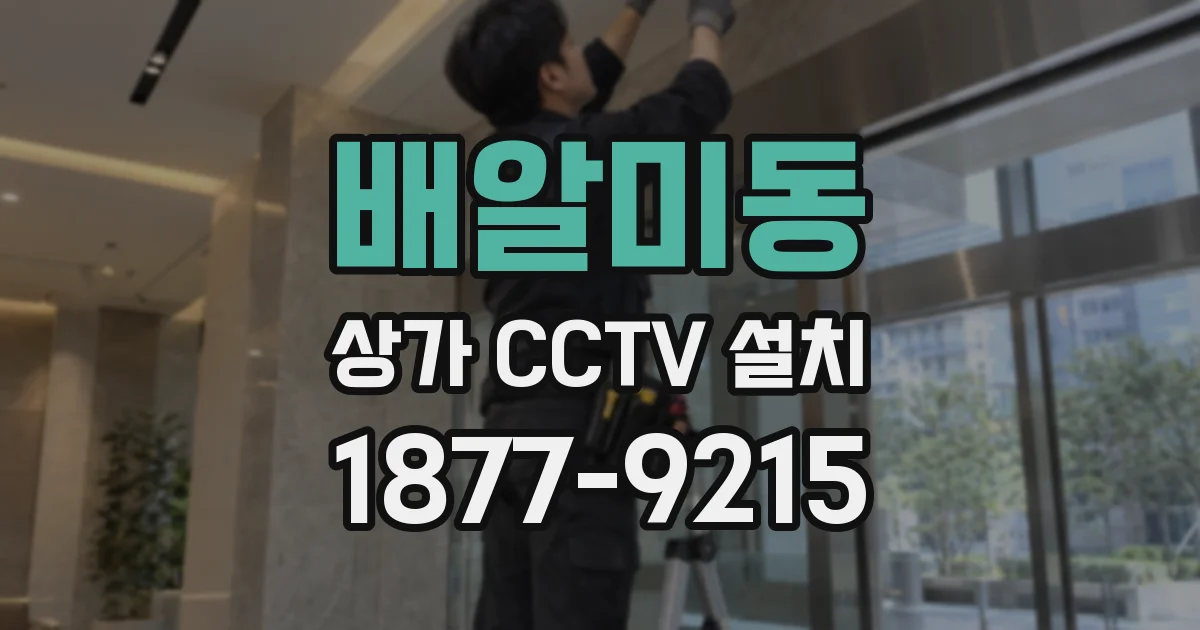 배알미동 상가 CCTV 설치
