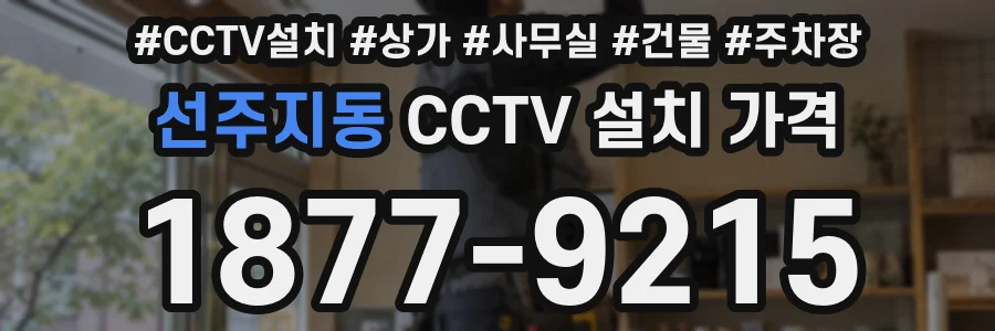 선주지동 CCTV 설치 가격