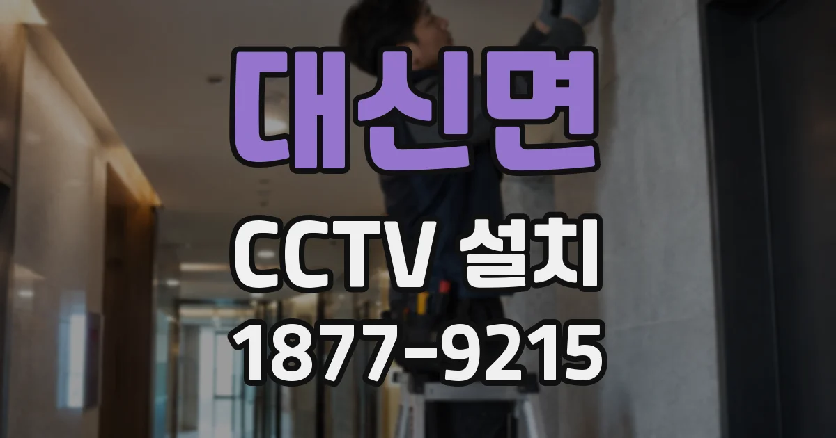 대신면 CCTV 설치