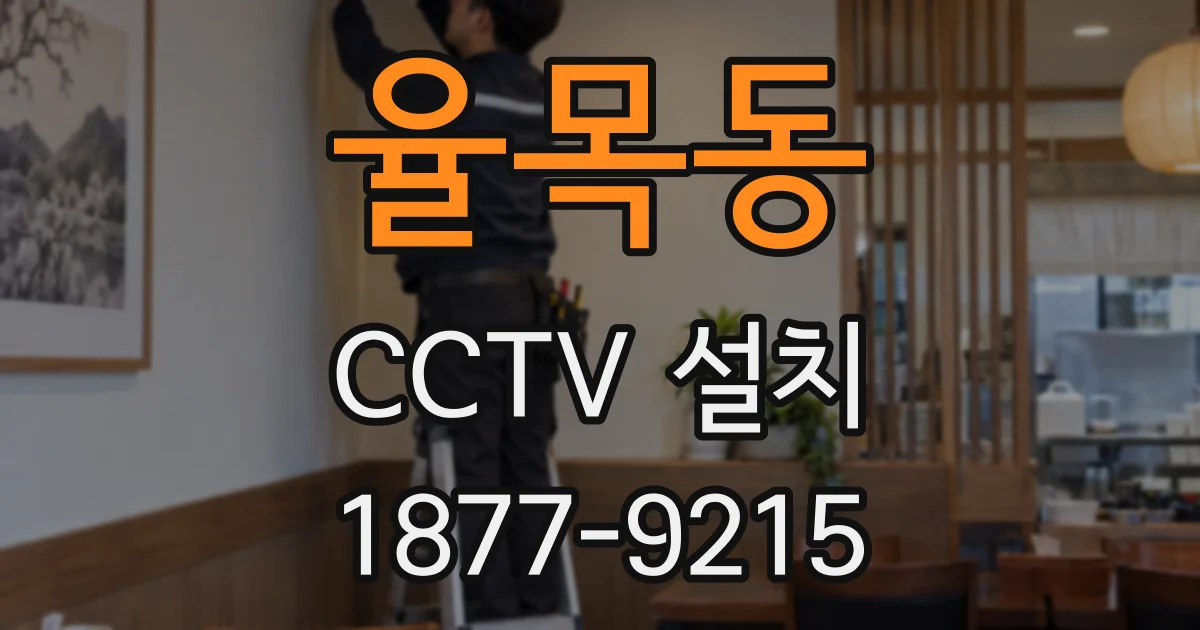 율목동 CCTV 설치