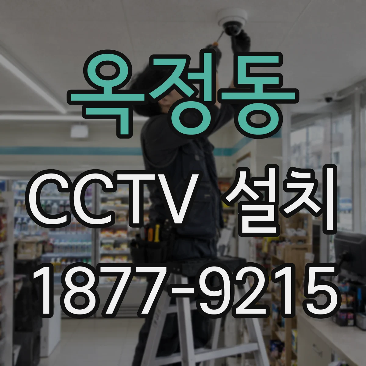 옥정동 CCTV 설치
