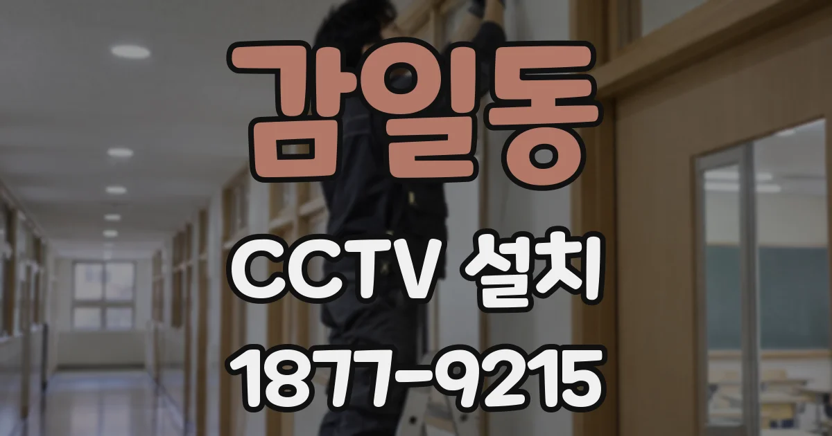 감일동 CCTV 설치