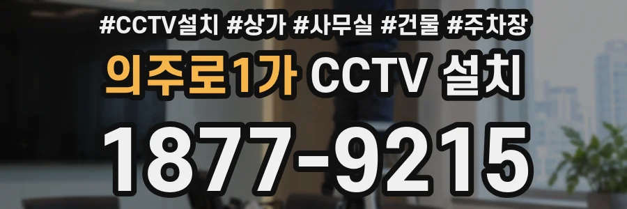 의주로1가 CCTV 설치