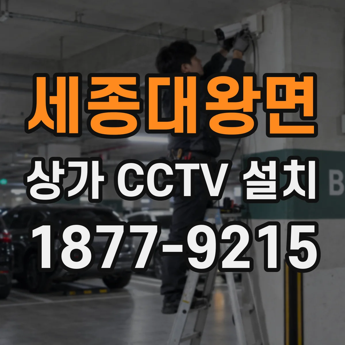 세종대왕면 상가 CCTV 설치