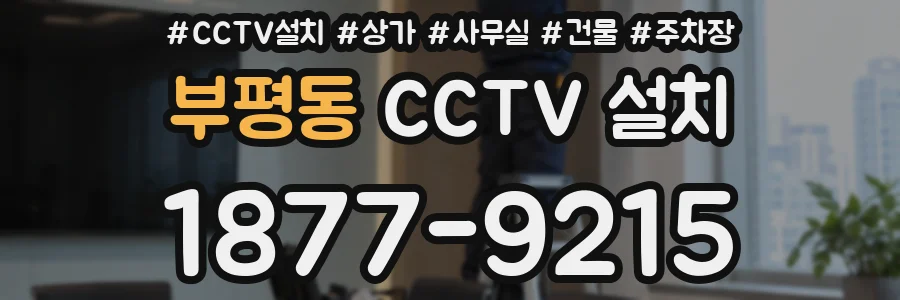 부평동 CCTV 설치