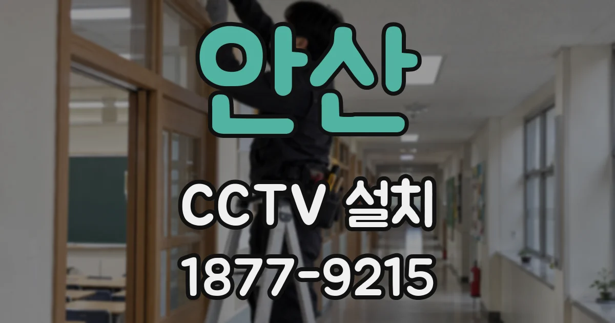 안산 CCTV 설치