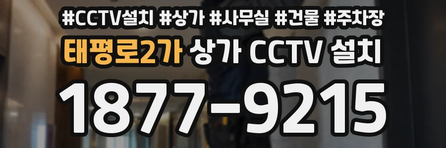 태평로2가 상가 CCTV 설치