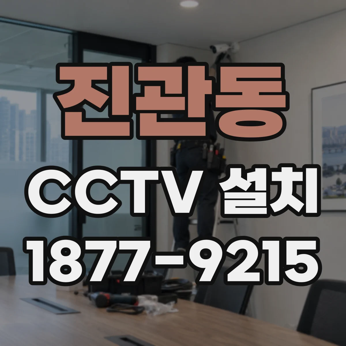 진관동 CCTV 설치