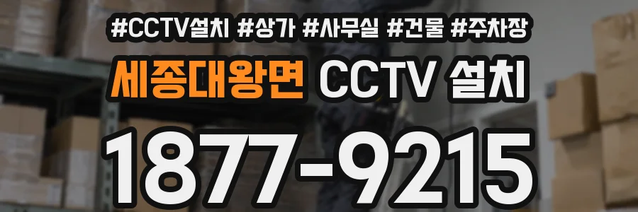 세종대왕면 CCTV 설치