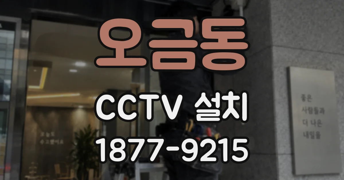 오금동 CCTV 설치