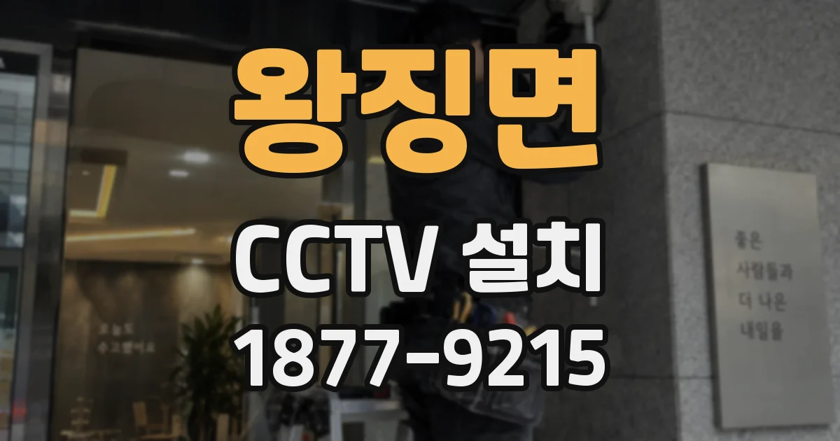 왕징면 CCTV 설치