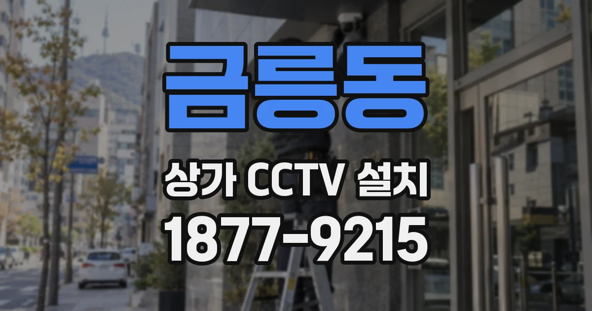 금릉동 상가 CCTV 설치
