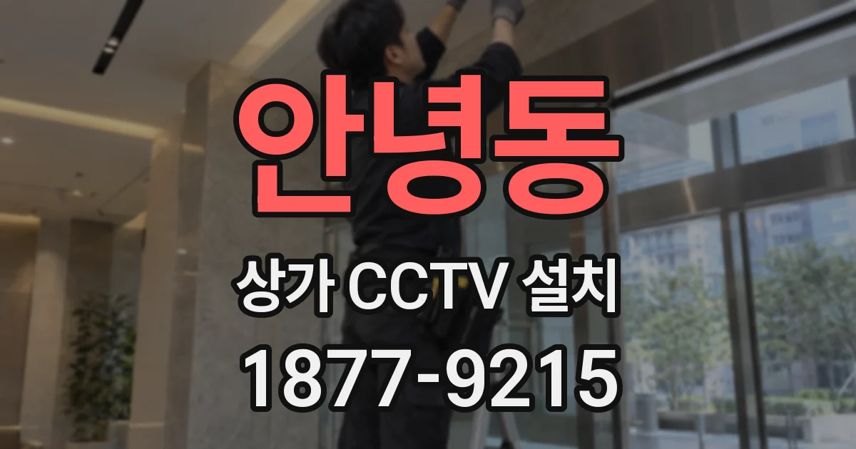 안녕동 상가 CCTV 설치